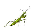 㒎